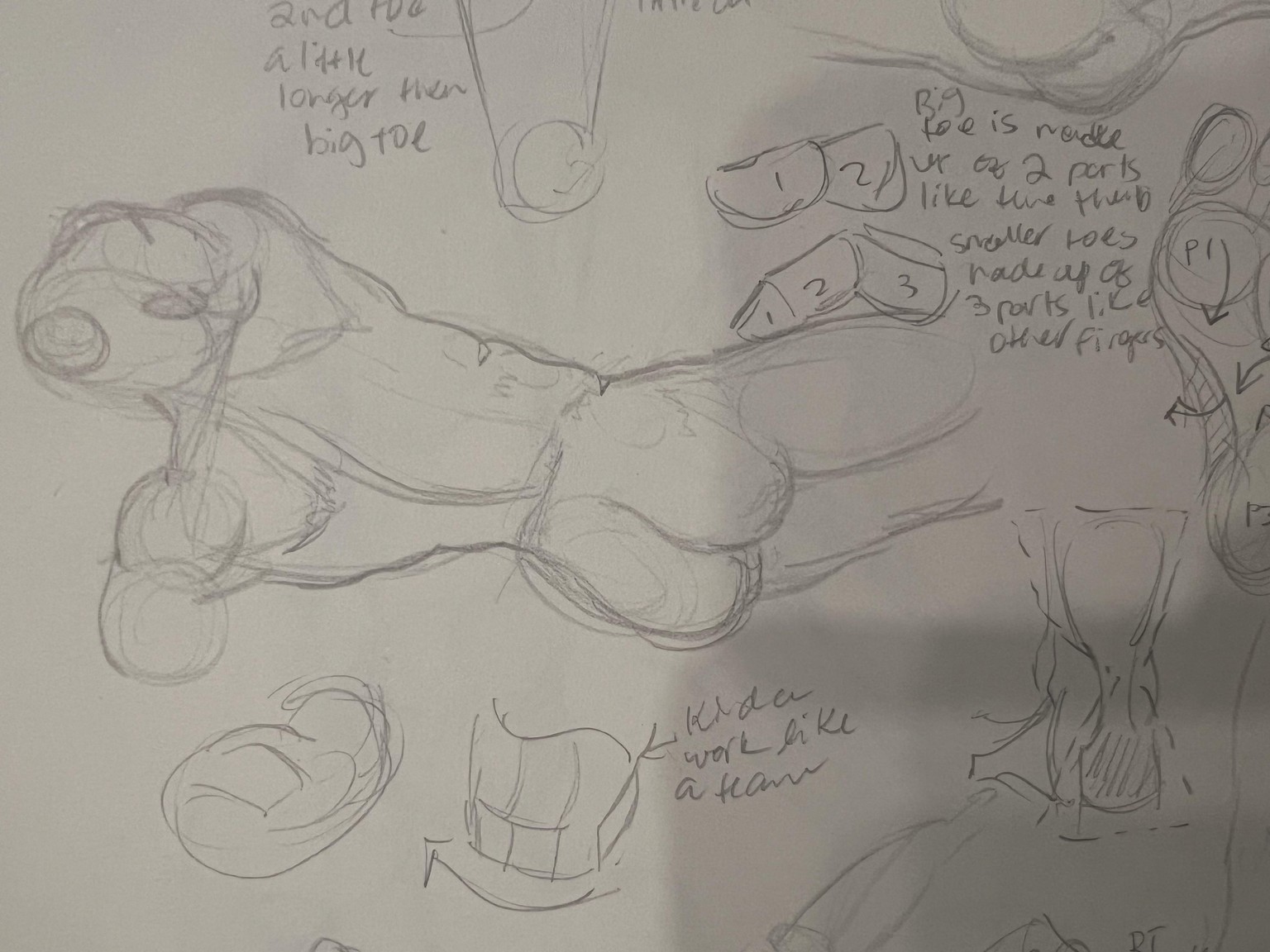 Brandi Torso Drawings - image 8 - student project