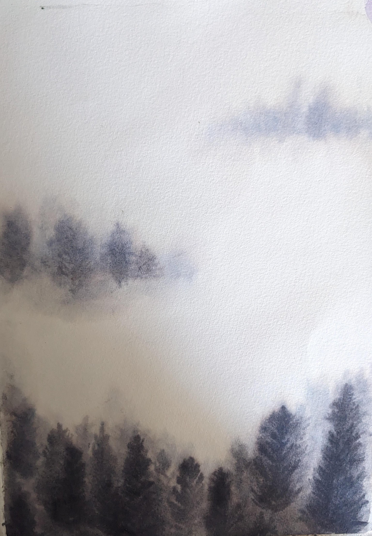 Misty forest & clouds - image 1 - student project