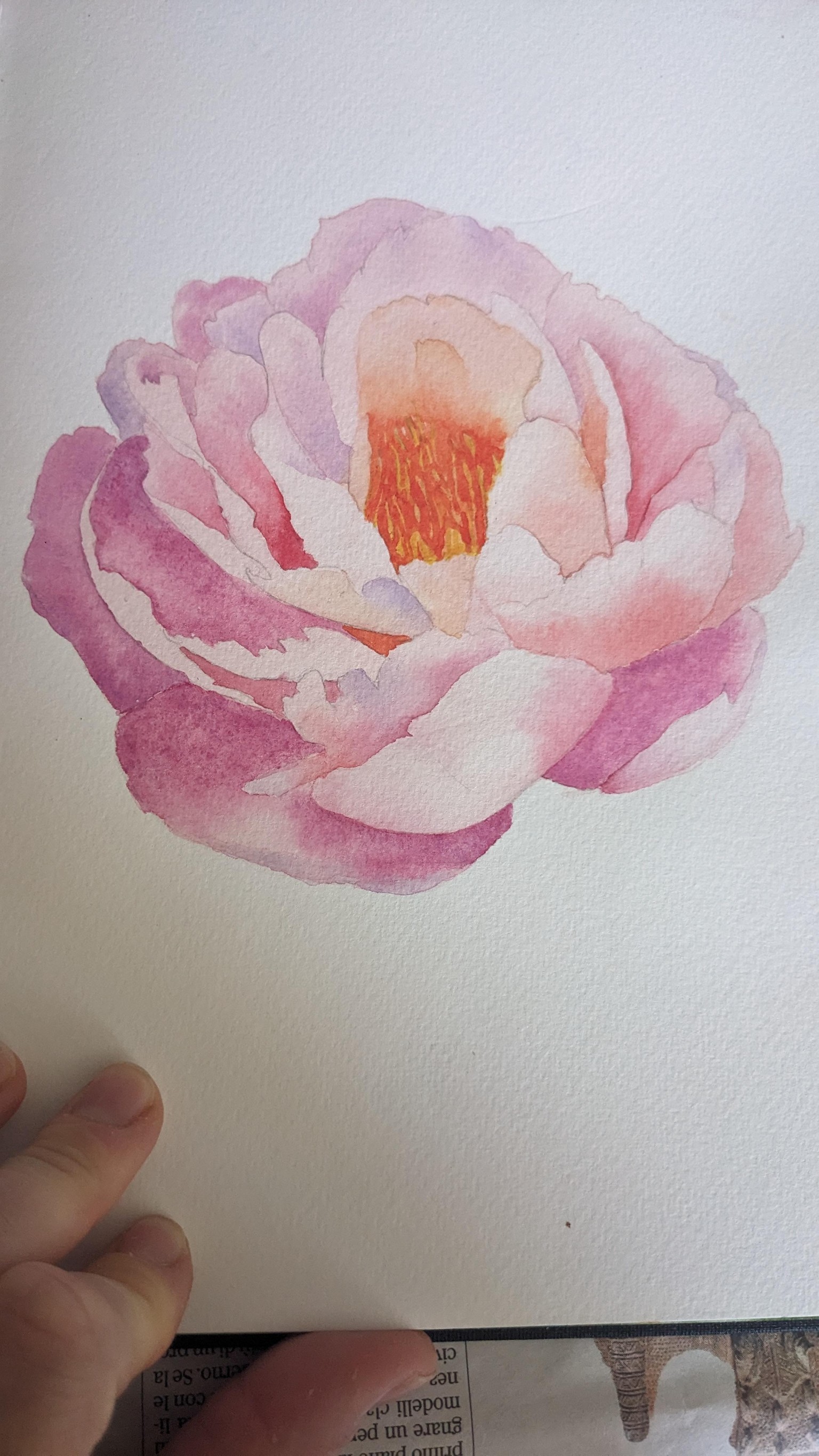 Peonia no - image 1 - student project