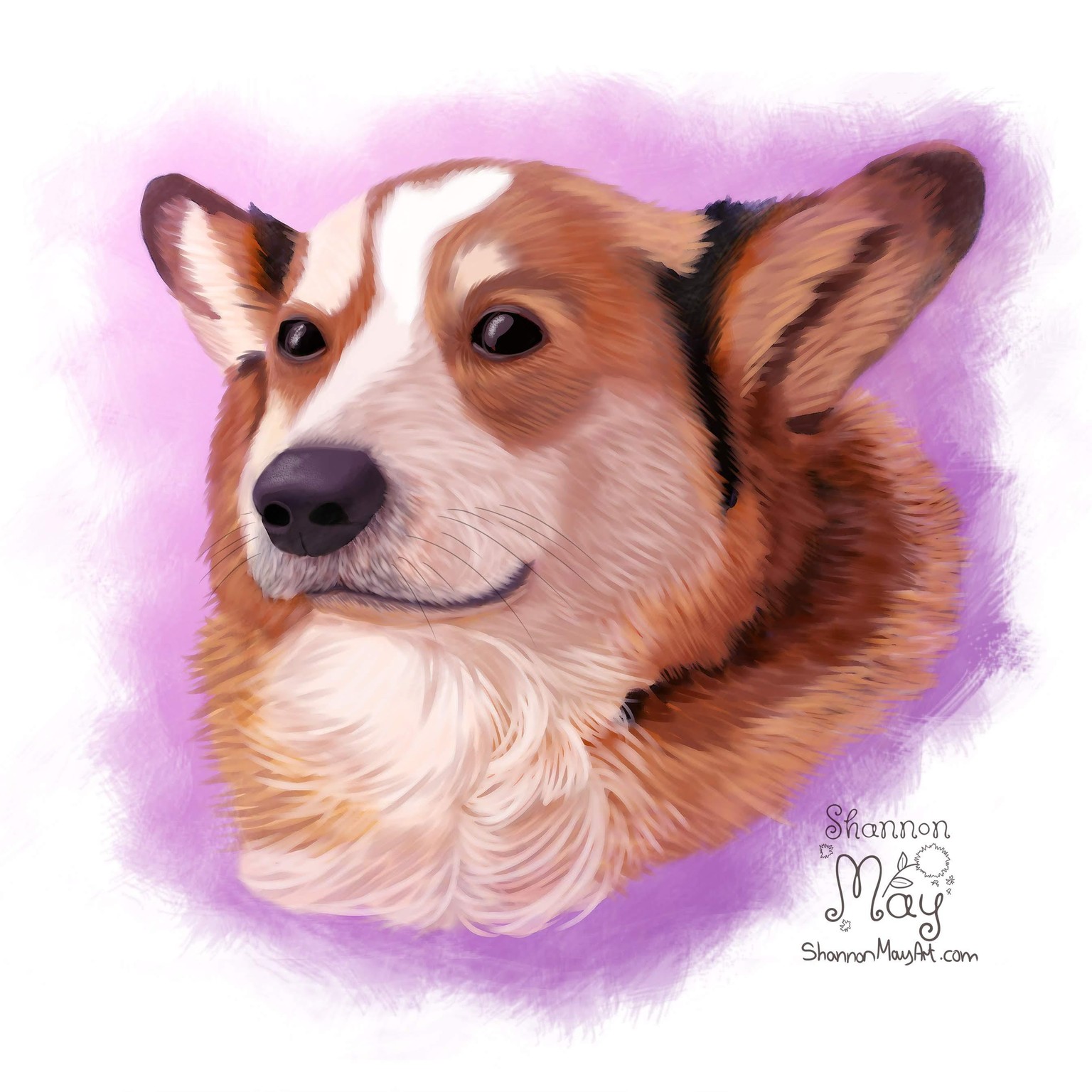 Corgi - image 1 - student project
