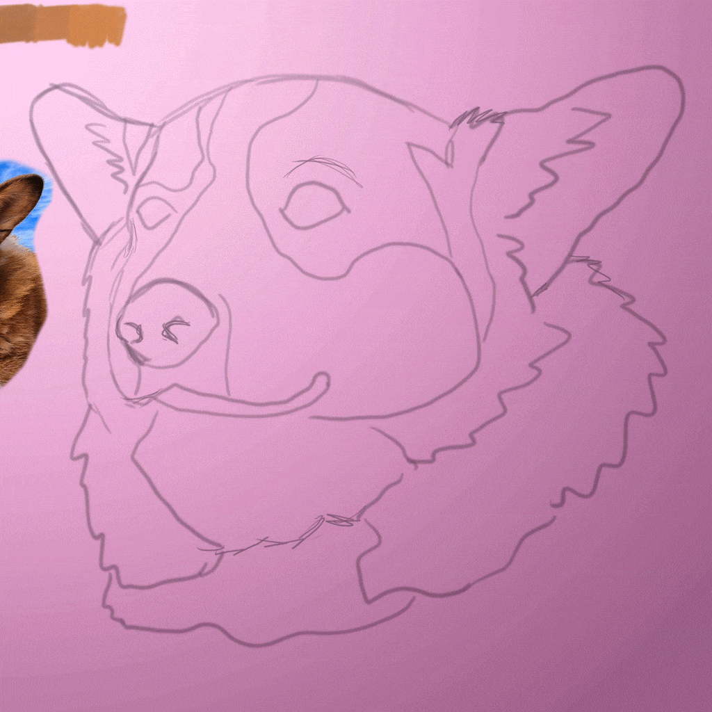 Corgi - image 2 - student project