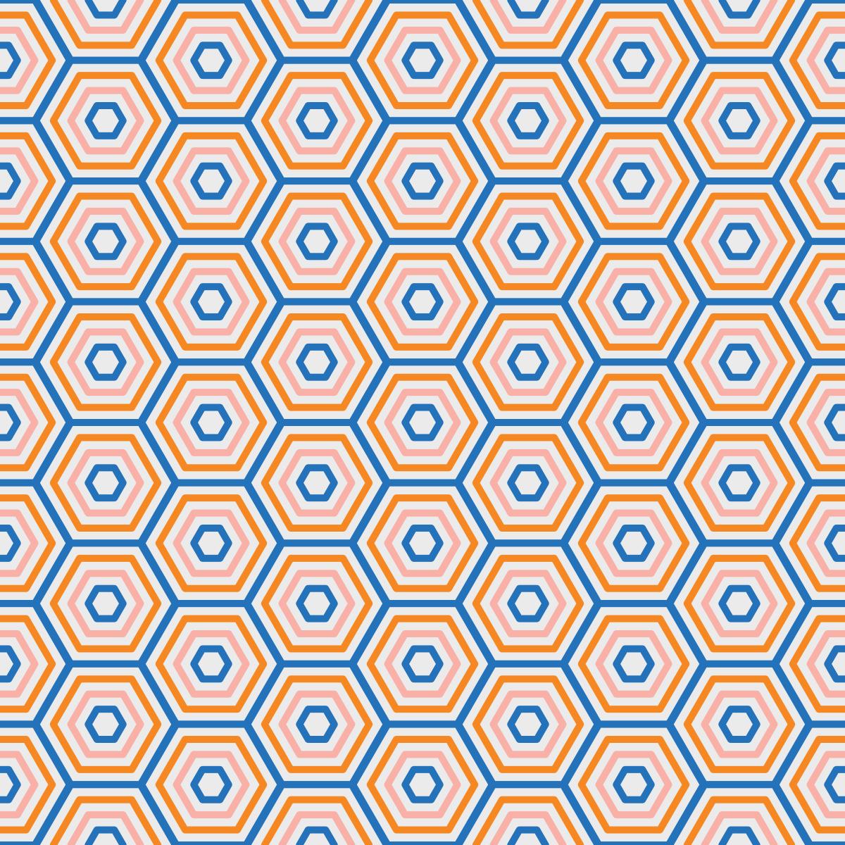 Gill’s Hexagon Patterns - image 2 - student project