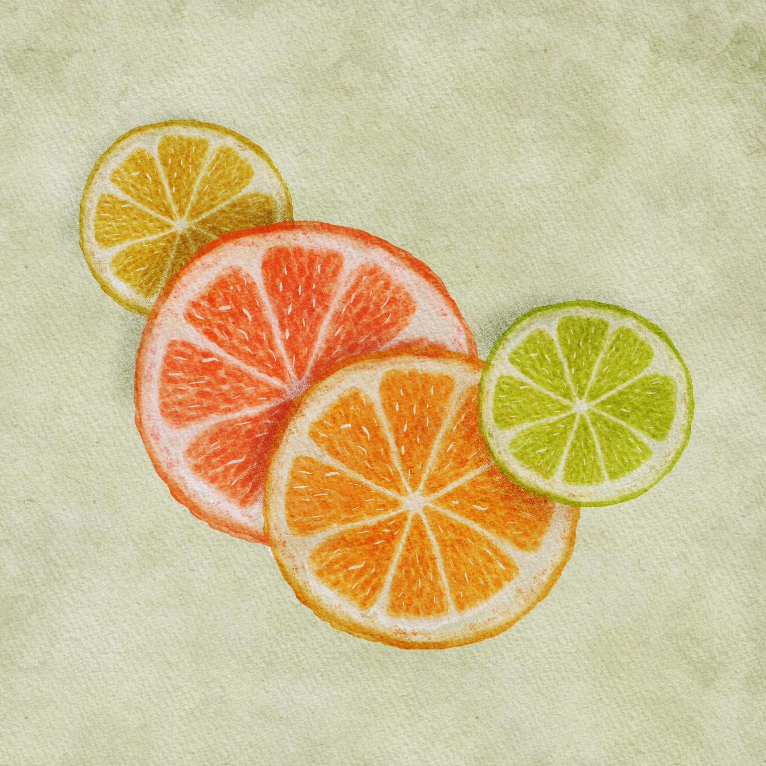 Gills Citrus Slices - image 1 - student project