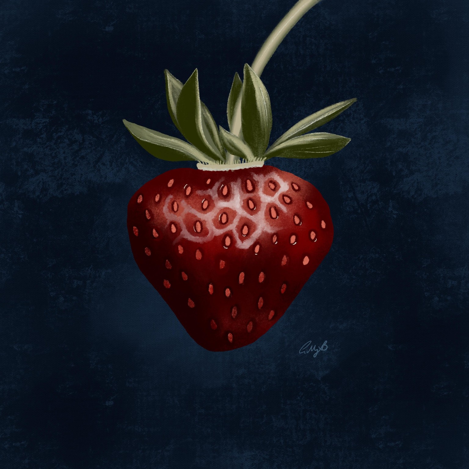 Gill's Fruit Projects - image 2 - student project