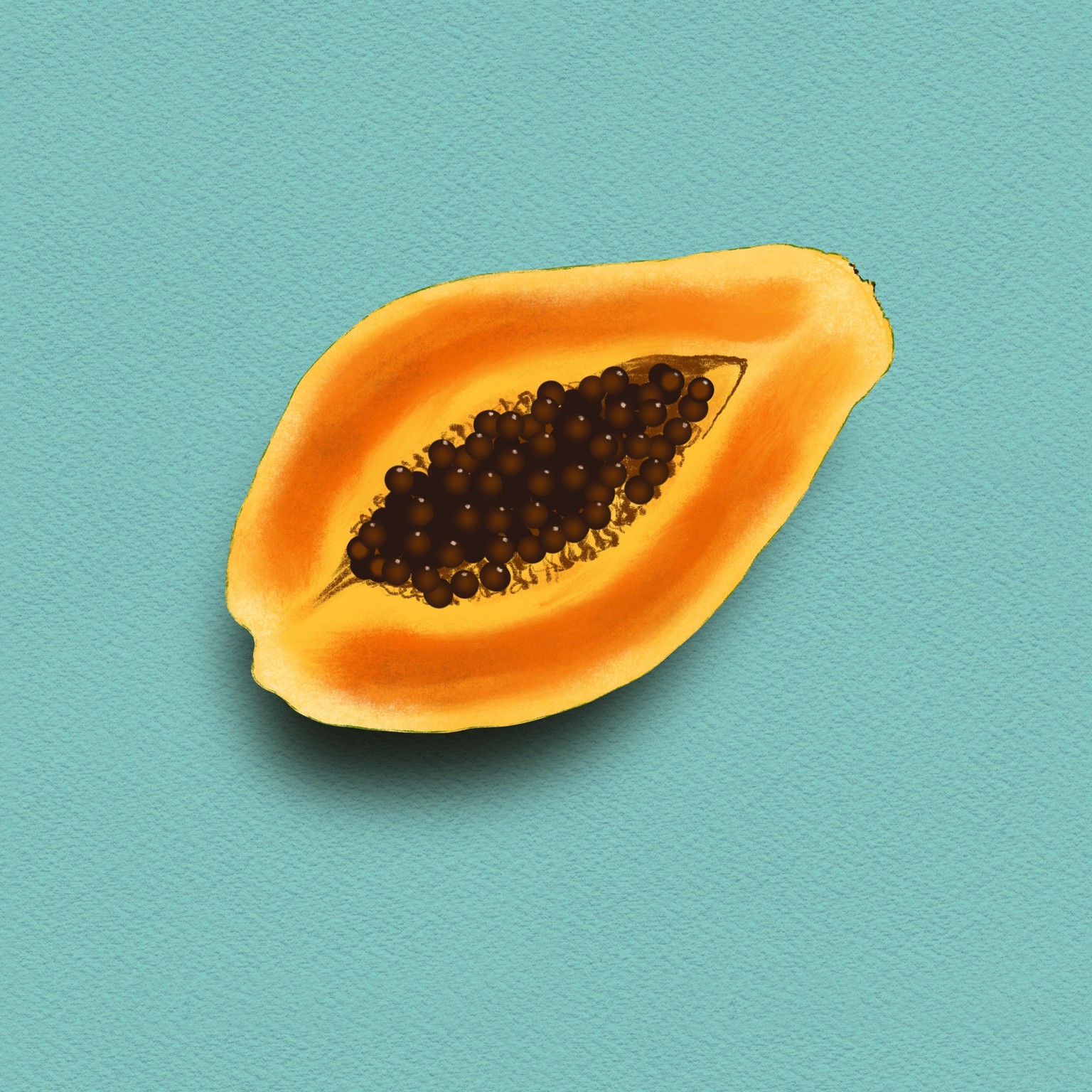 Gill's Fruit Projects - image 8 - student project