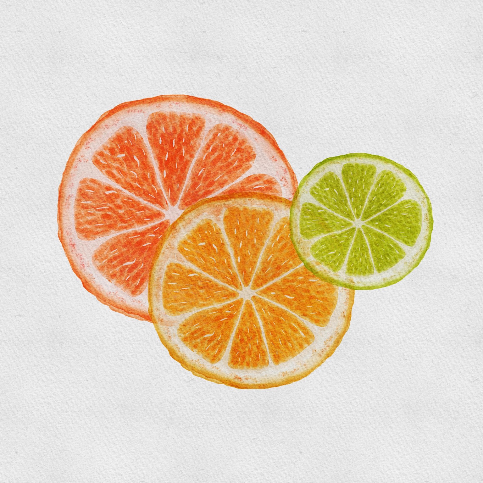 Gills Citrus Slices - image 4 - student project