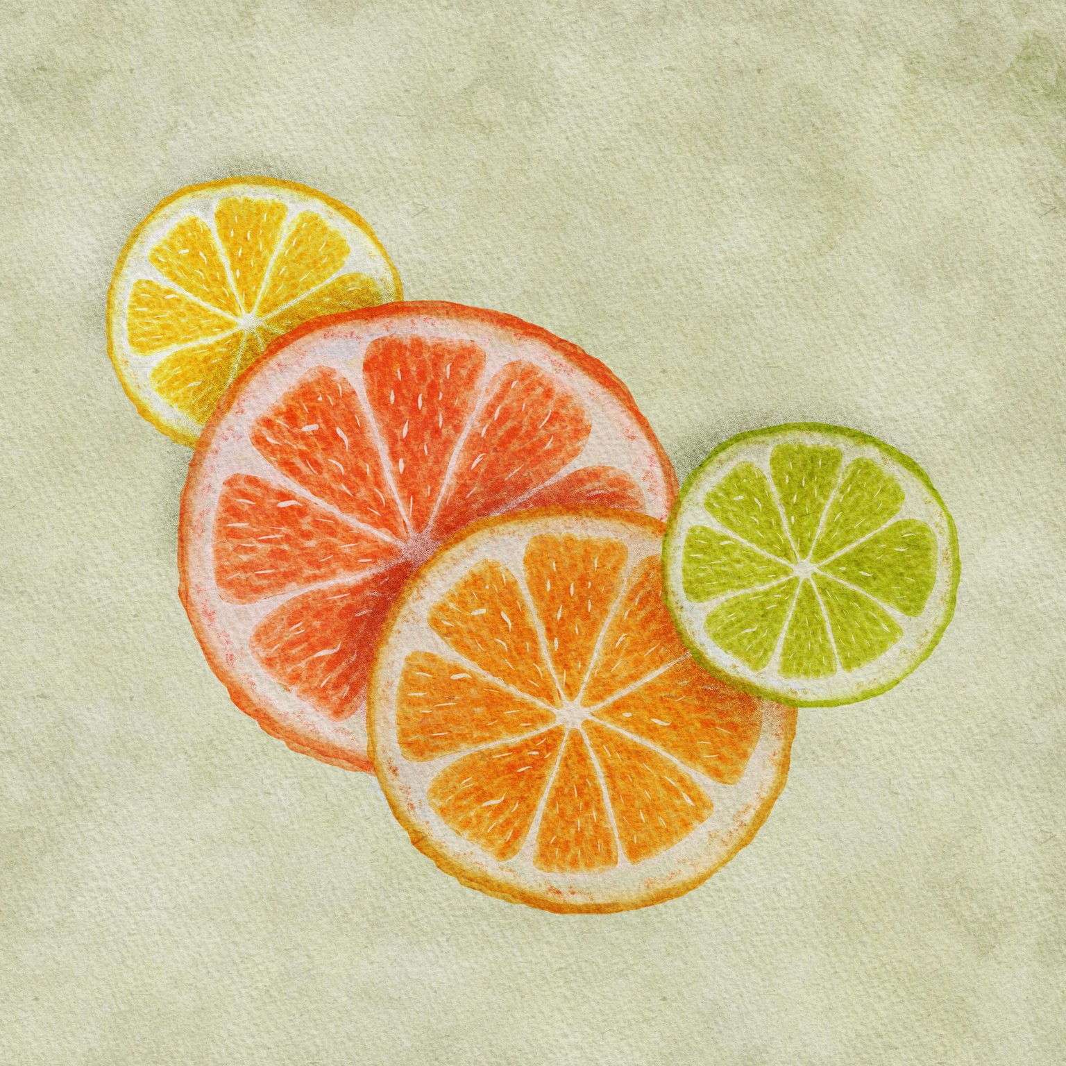 Gills Citrus Slices - image 2 - student project