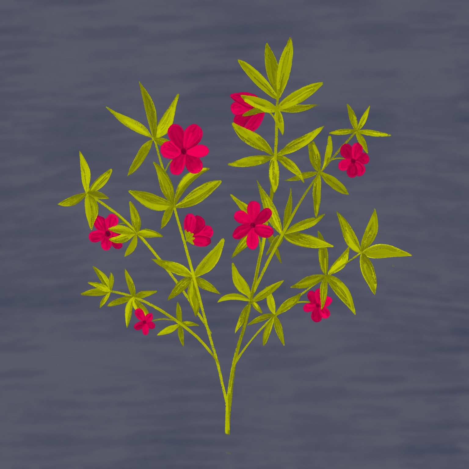 Gill's Wildflowers Project - image 3 - student project
