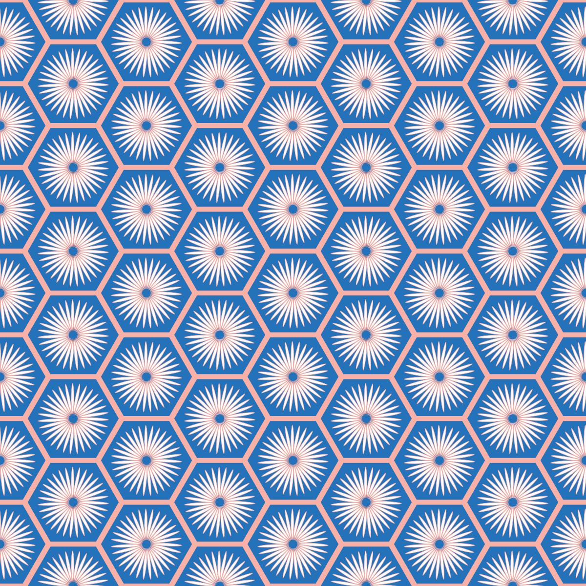 Gill’s Hexagon Patterns - image 3 - student project