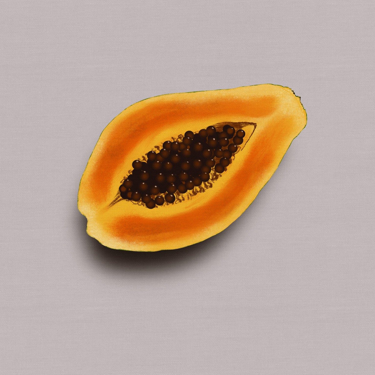Gill's Fruit Projects - image 7 - student project