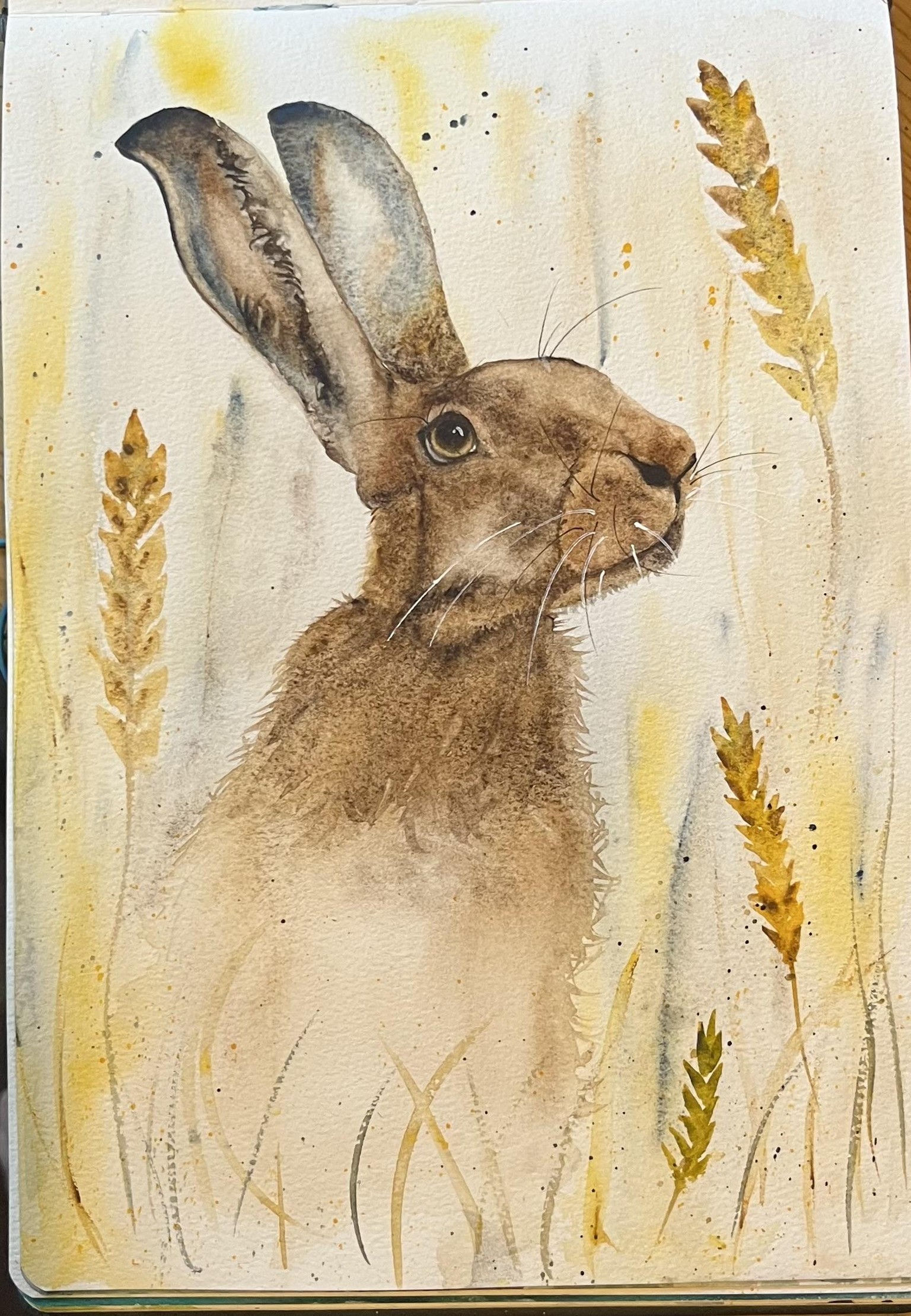 Hazel the wild hare - image 1 - student project