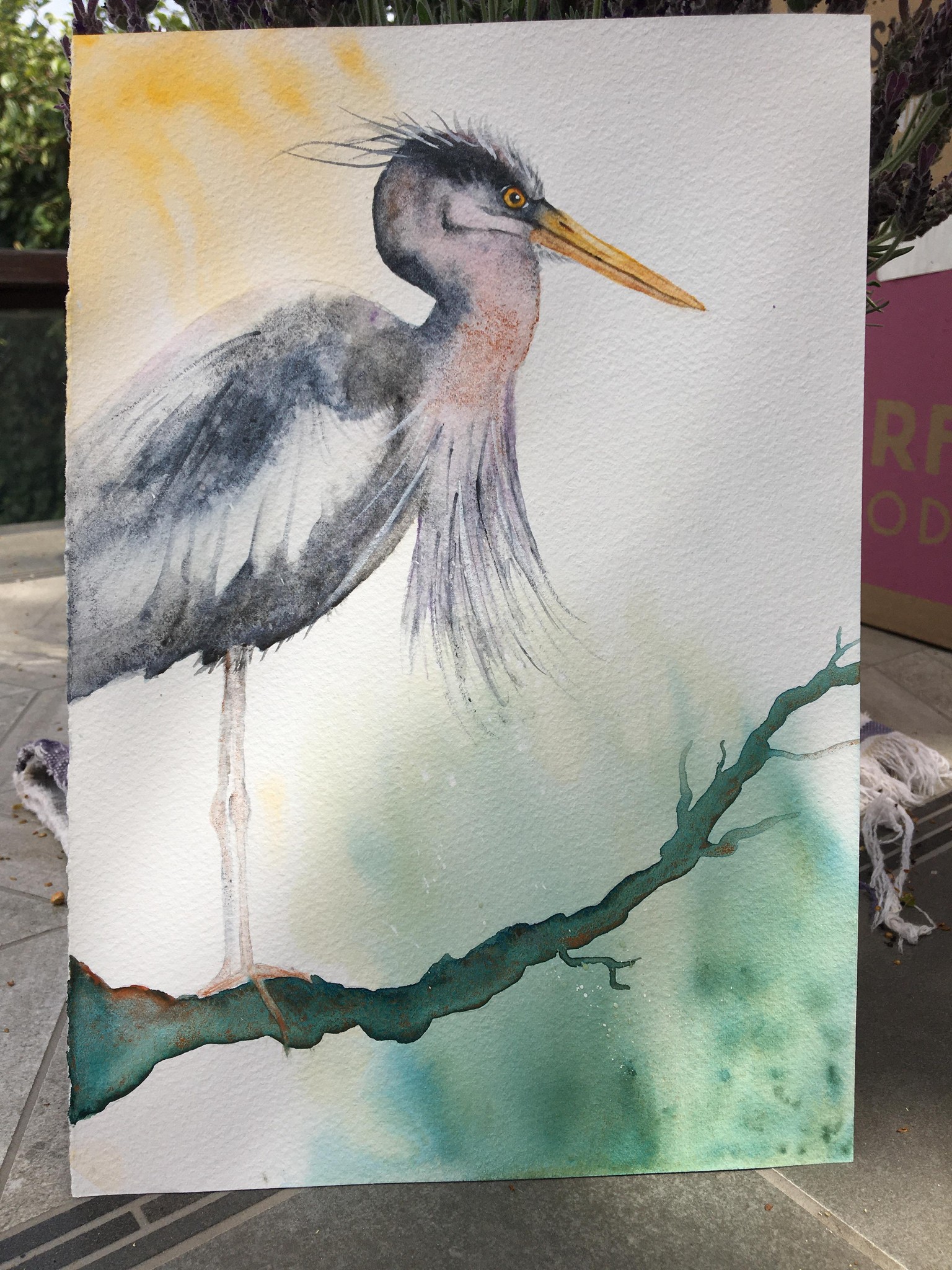 My angry heron - image 1 - student project