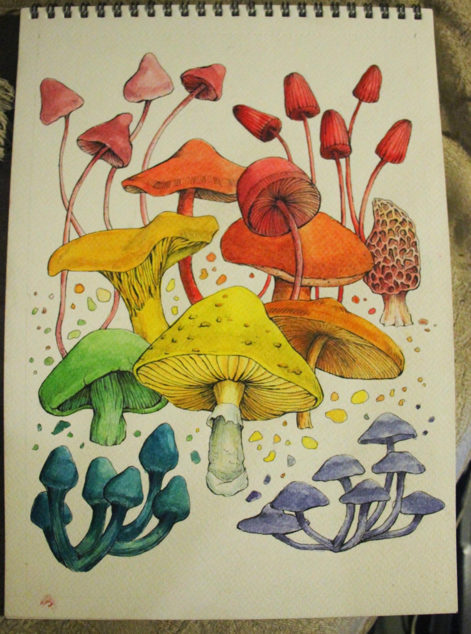 Mad as a mushroom - first try! - image 1 - student project