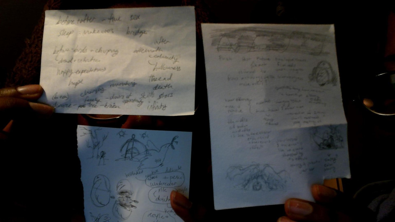 AB+ IB, Before and After: Bird is the Word - image 1 - student project