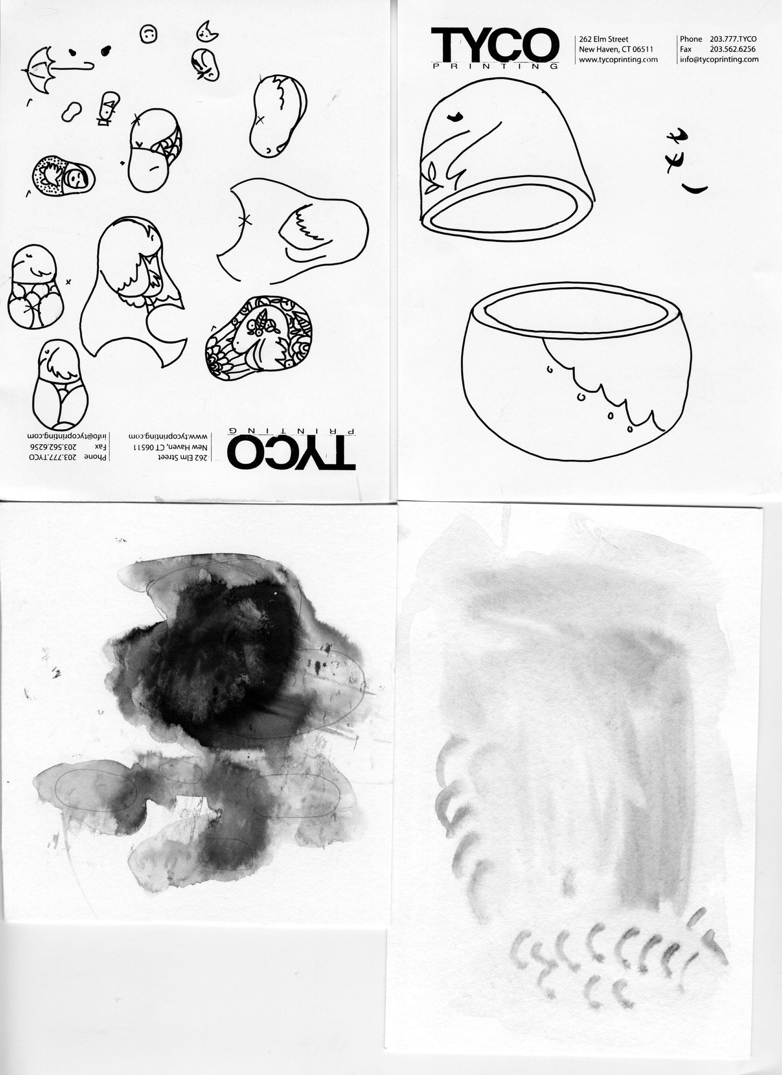 AB+ IB, Before and After: Bird is the Word - image 3 - student project