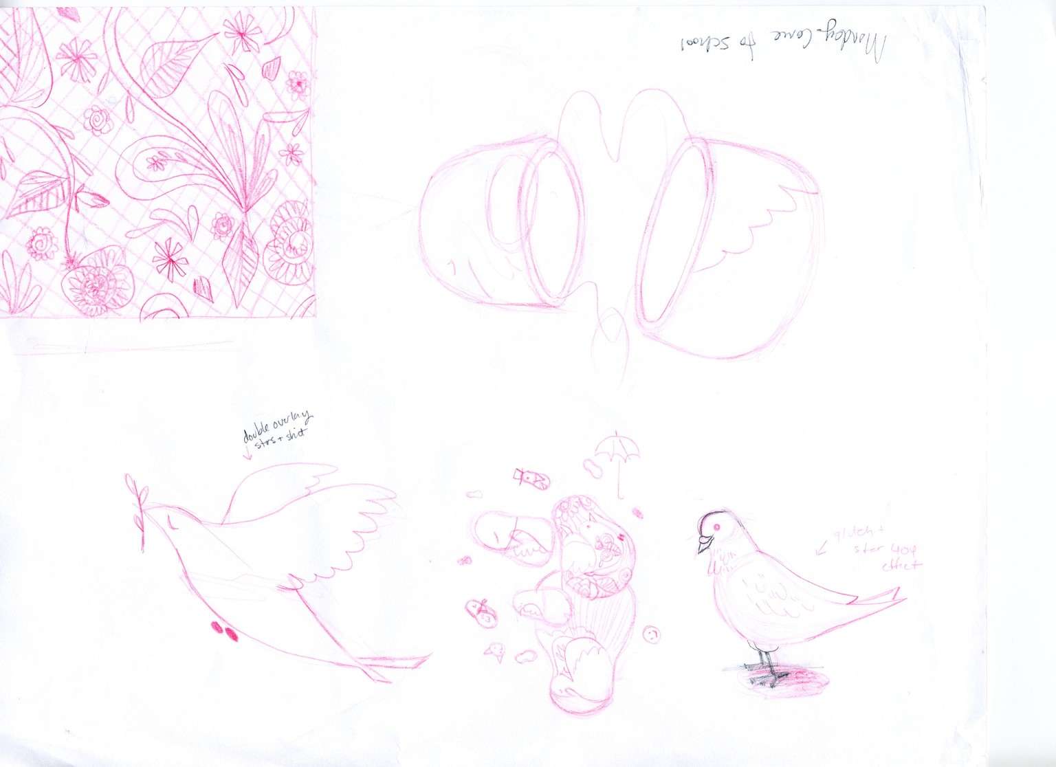 AB+ IB, Before and After: Bird is the Word - image 2 - student project