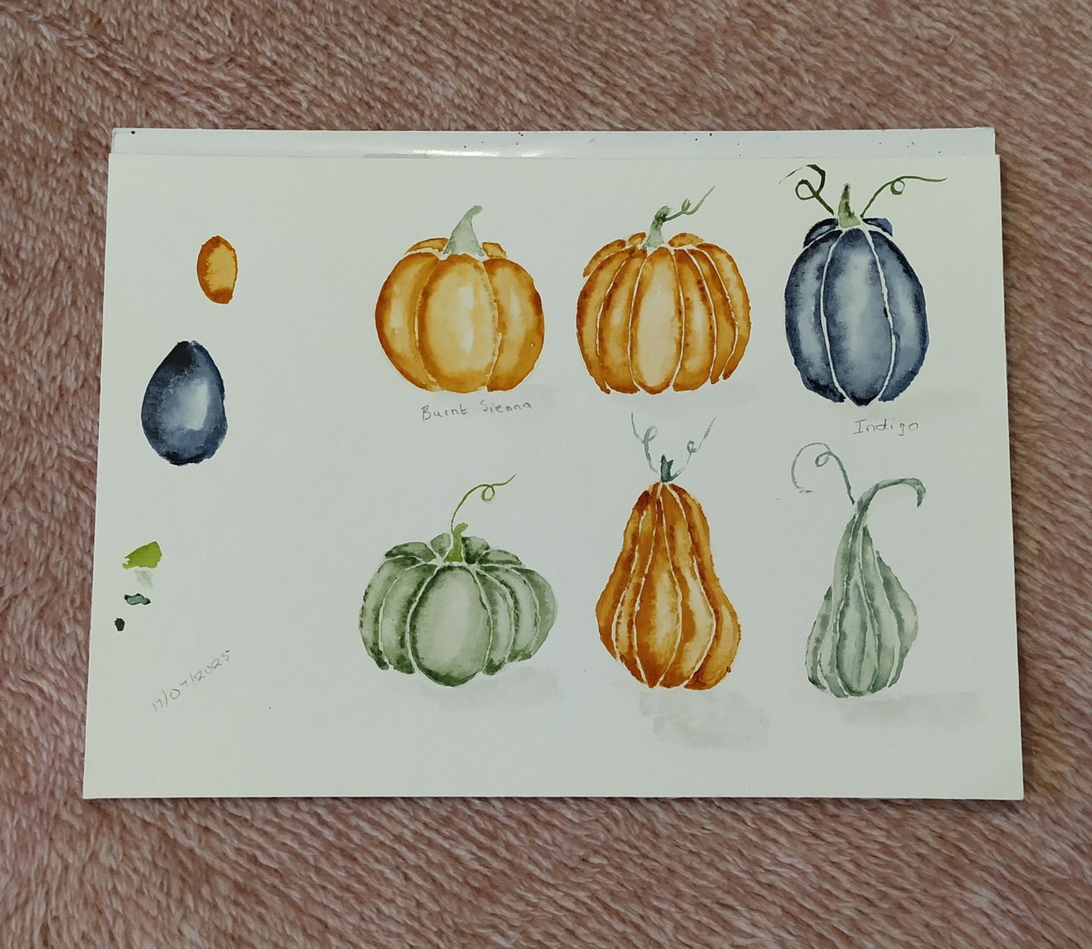 Watercolor pumpkins & gourds - image 1 - student project