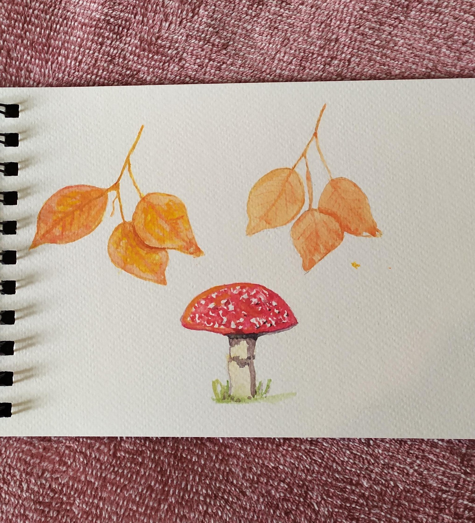 Shadows to lift watercolours - image 2 - student project