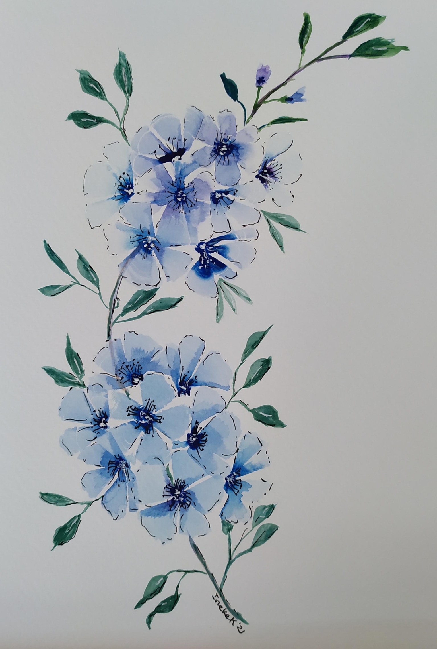 Three small bunches of flowers - image 3 - student project