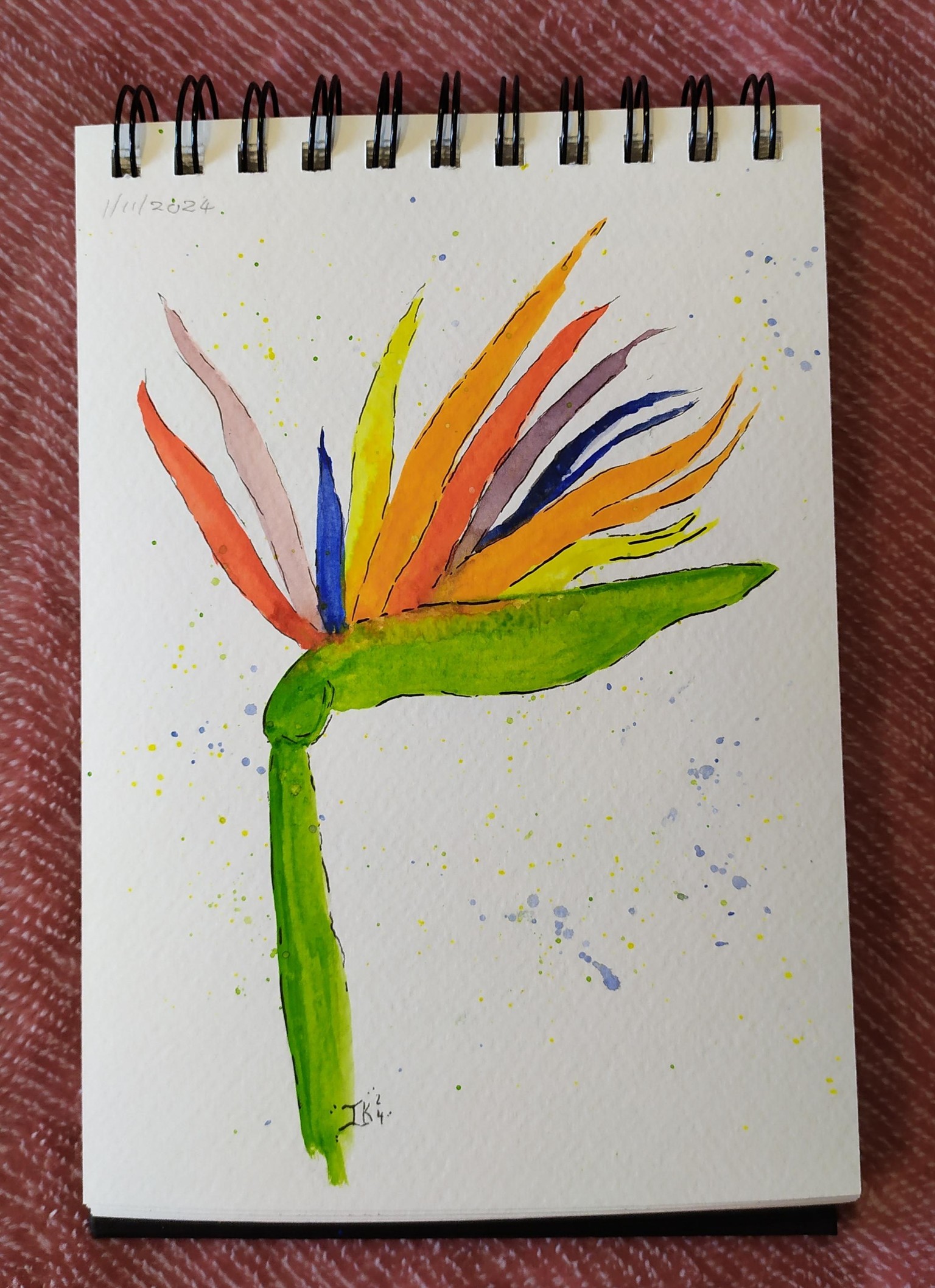 Mini class Bird of Paradise - image 1 - student project