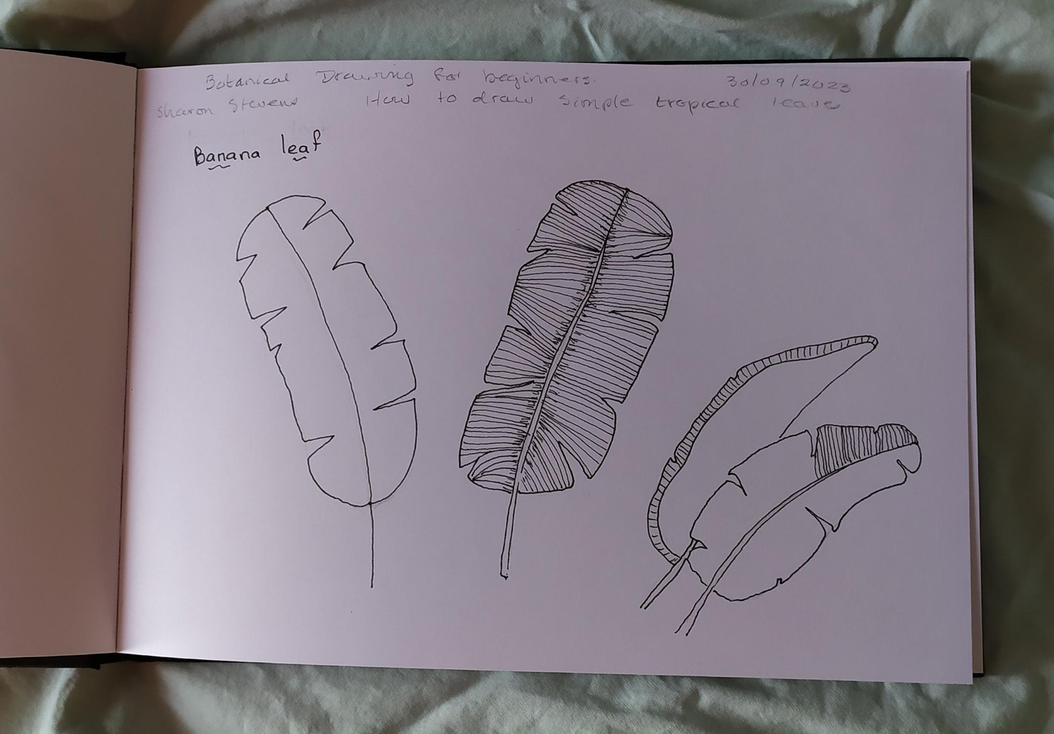 Botanical drawing for beginners. - image 1 - student project