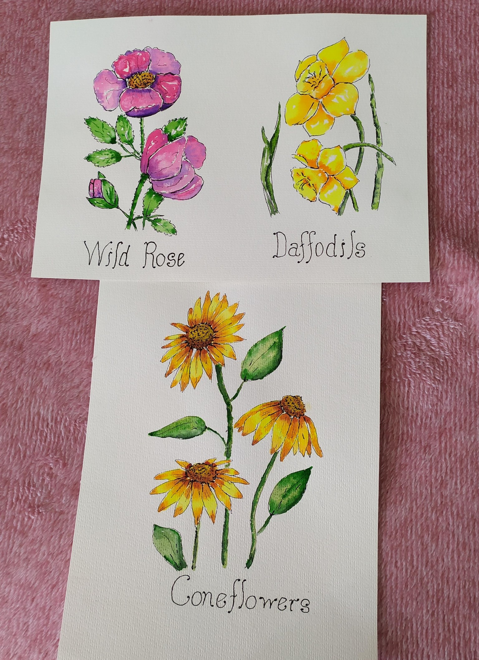 Three flowers ink and watercolors - image 1 - student project