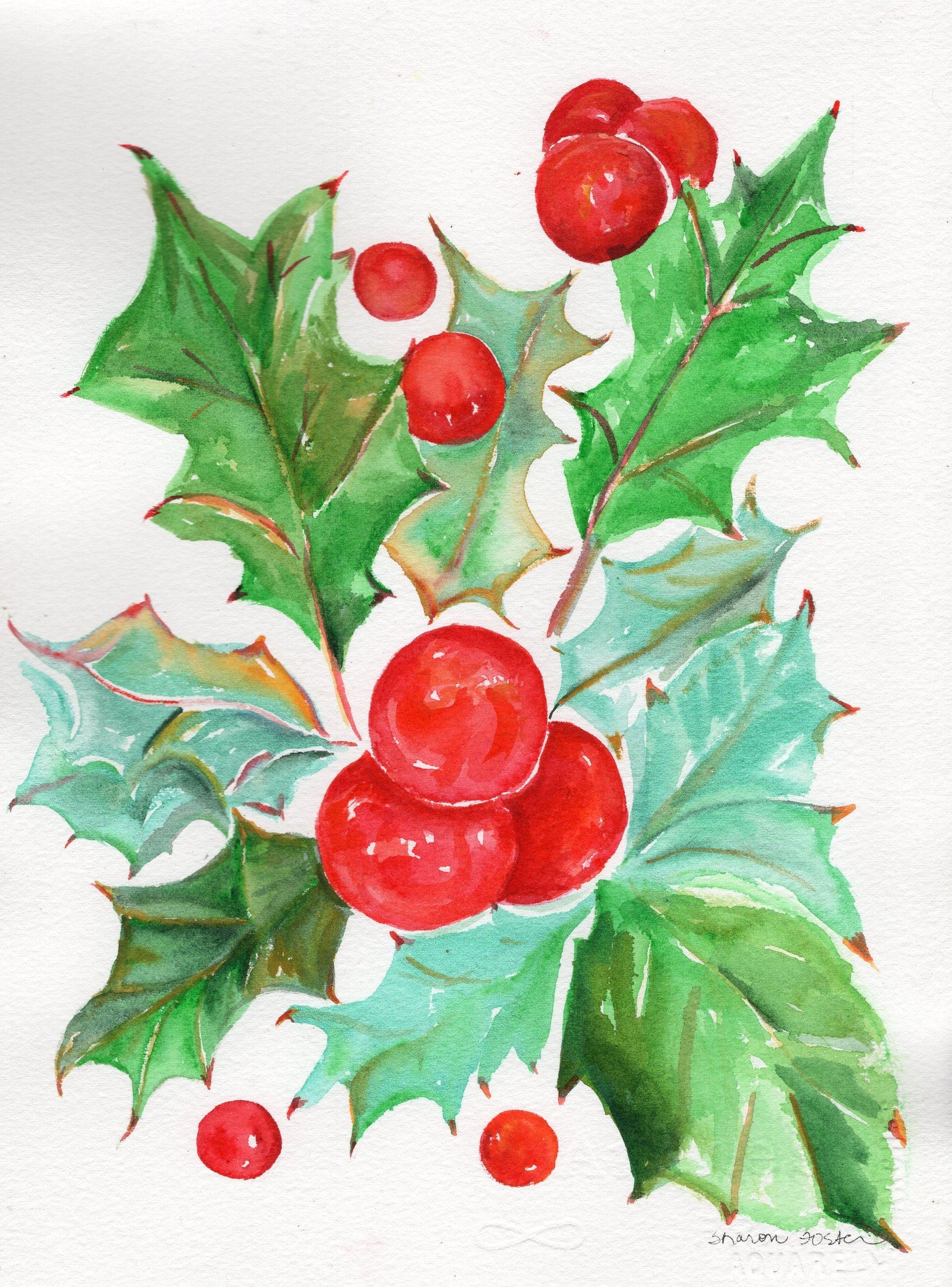 Jolly Holly - image 2 - student project