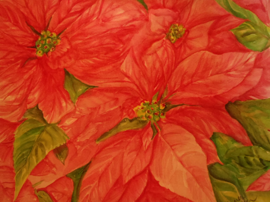 Poinsettia Redo after taking Watercolor Holiday Florals - image 2 - student project