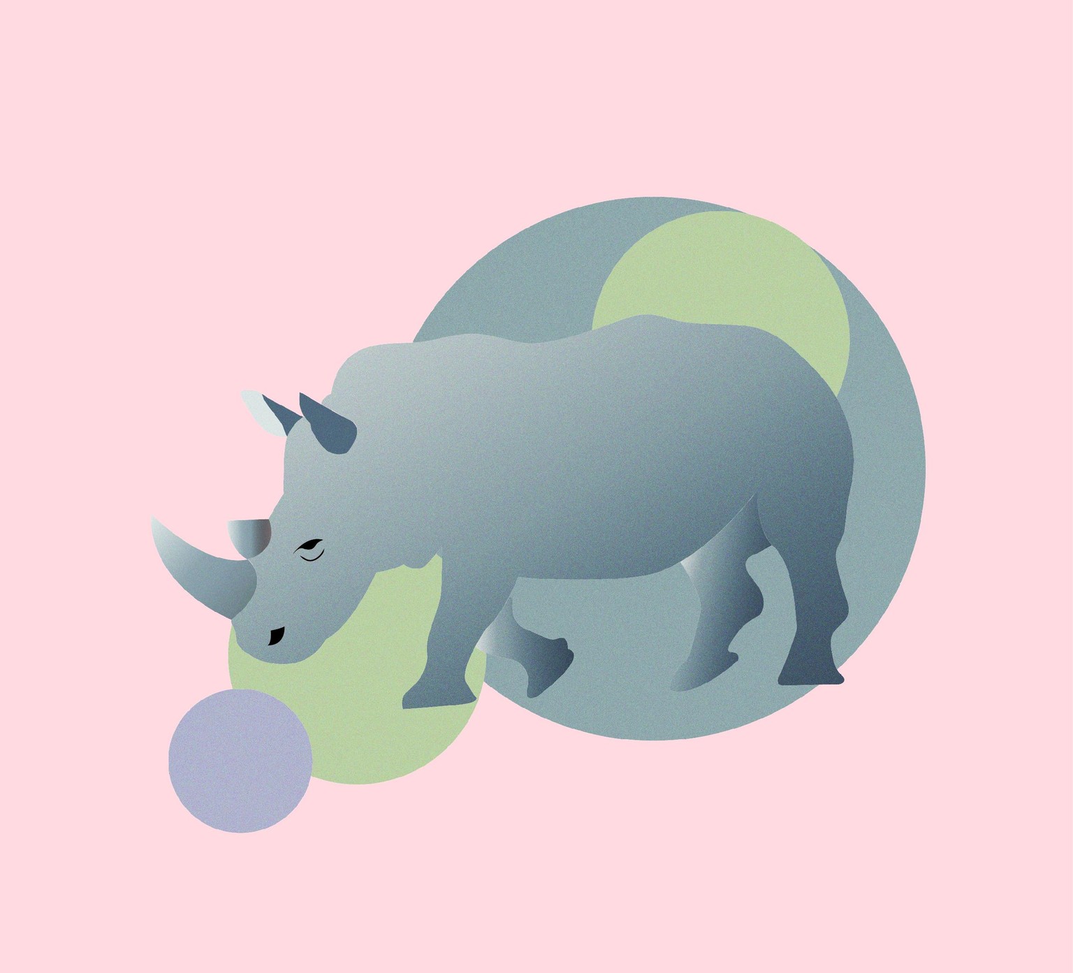 Rhino - image 1 - student project