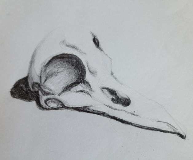 DBurton - Level Up Your Drawing Step-by-Step - image 2 - student project