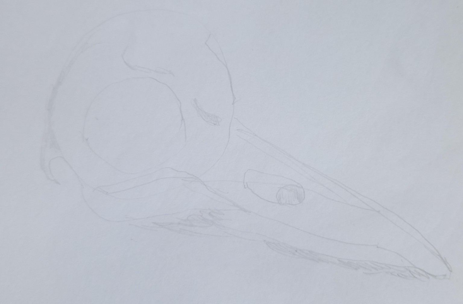 DBurton - Level Up Your Drawing Step-by-Step - image 1 - student project