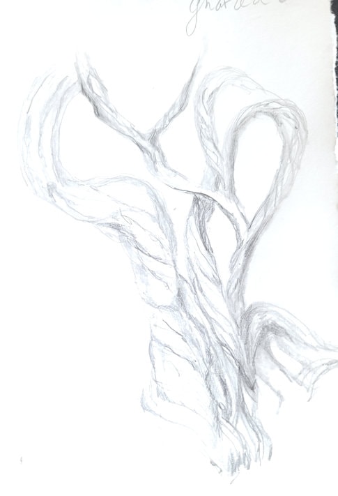 DBurton - Level Up Drawing Skills - image 2 - student project
