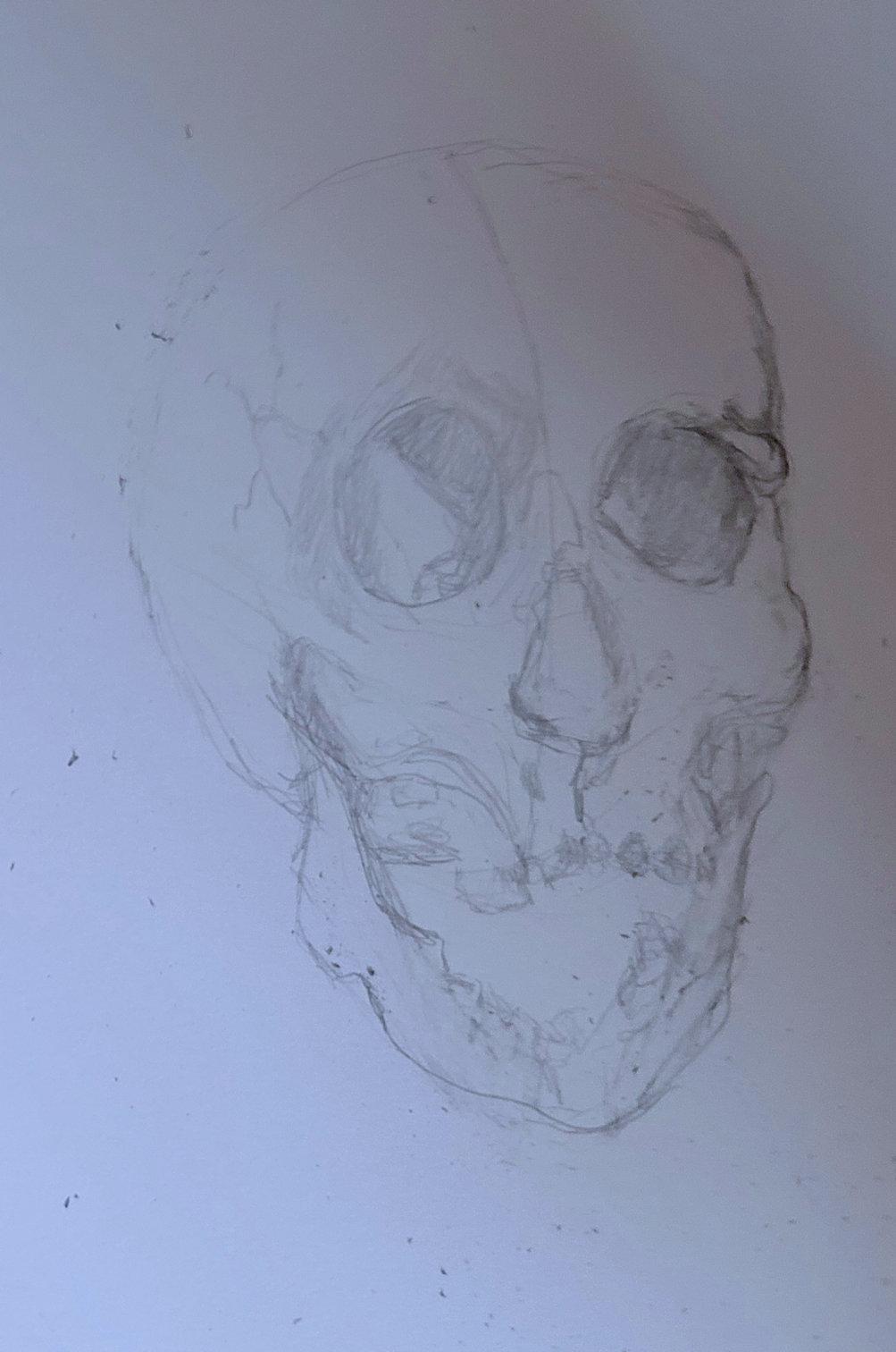 DBurton - Steps to start drawing portraits today - image 3 - student project