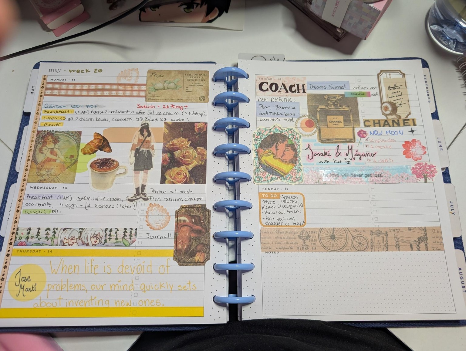 Restarting Journaling - image 5 - student project