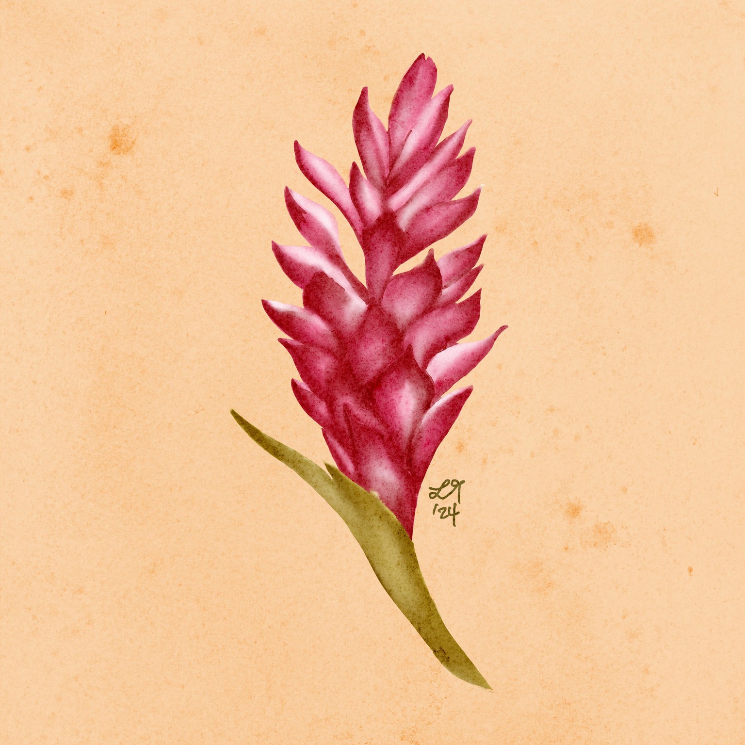 Tropical Flowers - image 2 - student project