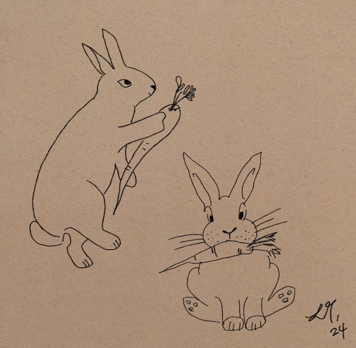 All about Bunnies - image 1 - student project