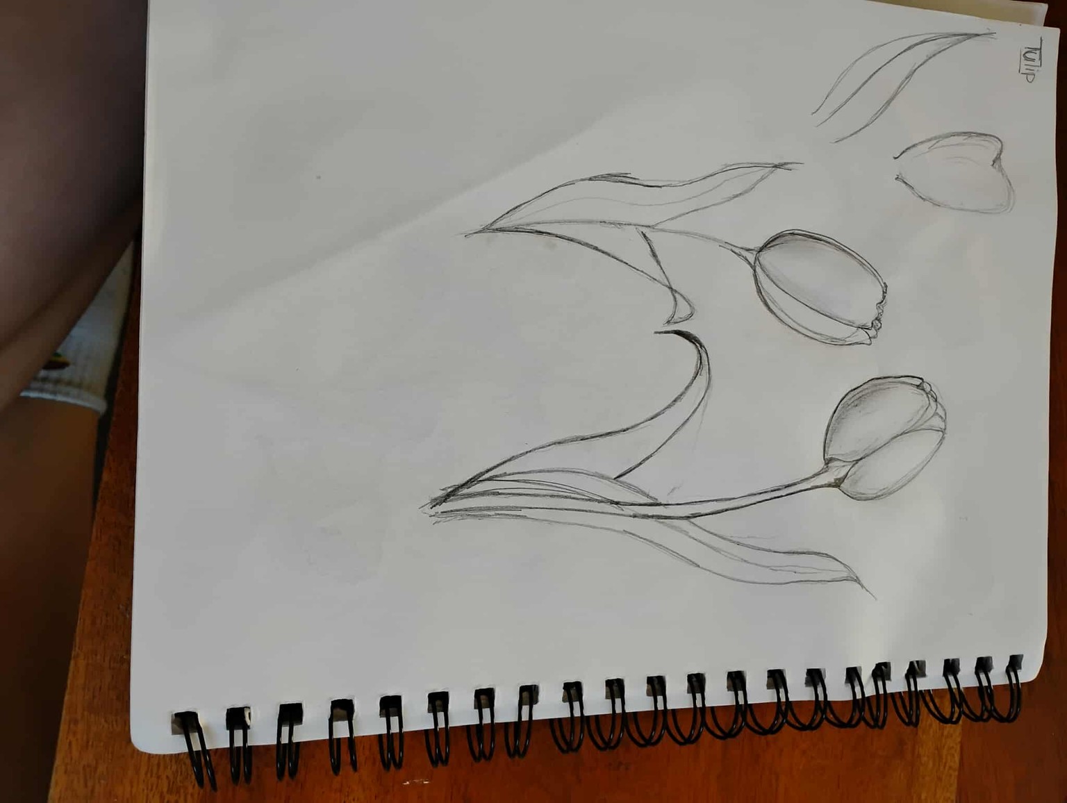 Drawing flowers - image 3 - student project