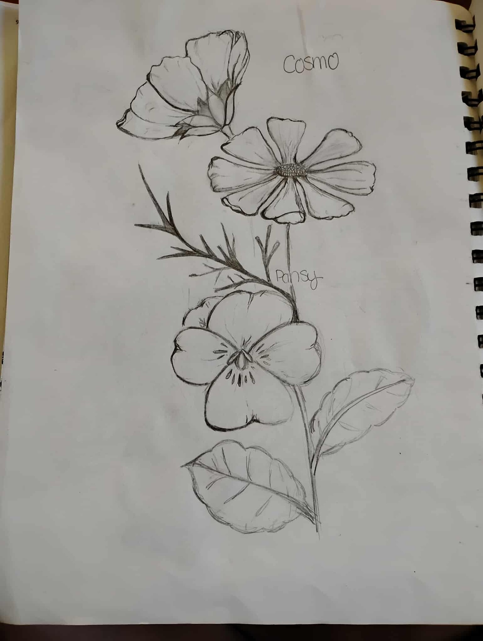 Drawing flowers - image 1 - student project