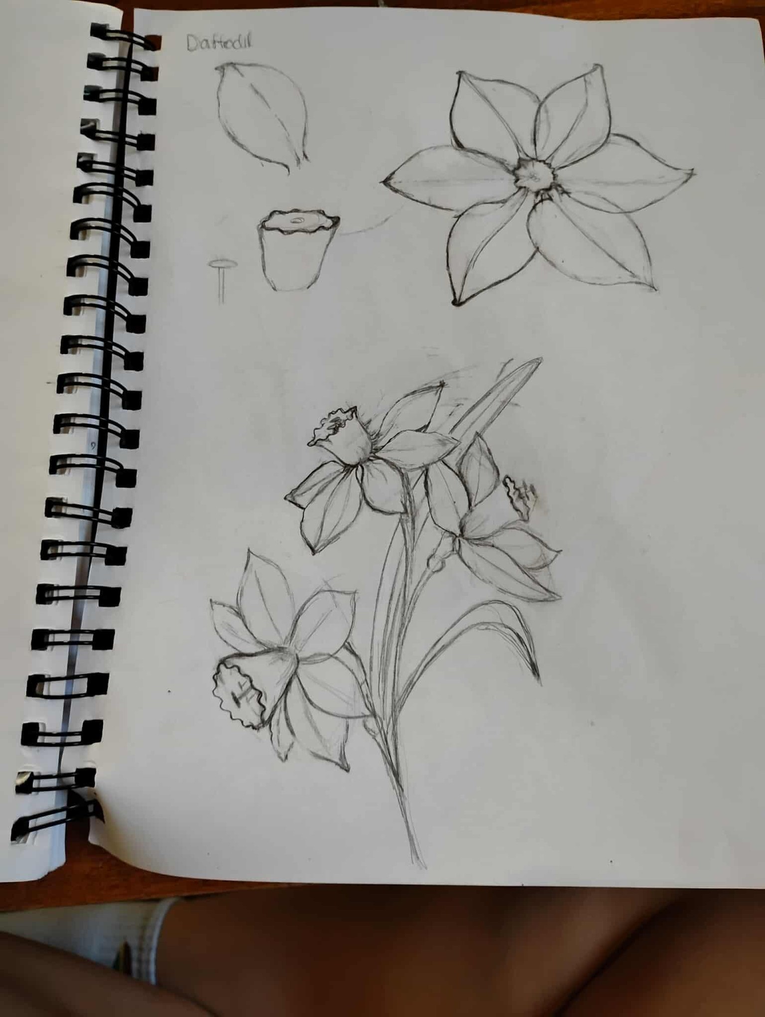 Drawing flowers - image 2 - student project