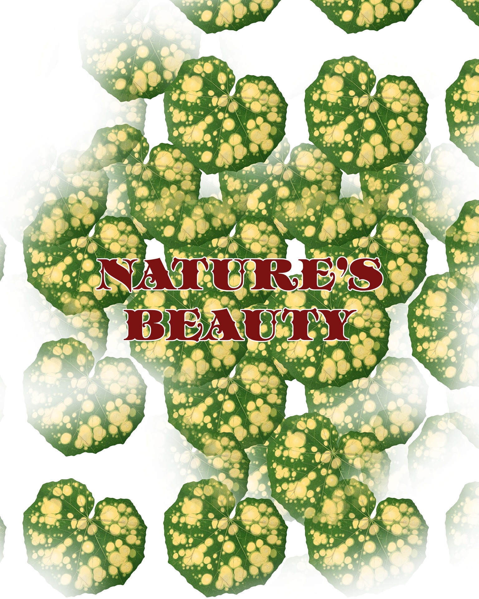 Pattern using - image 4 - student project
