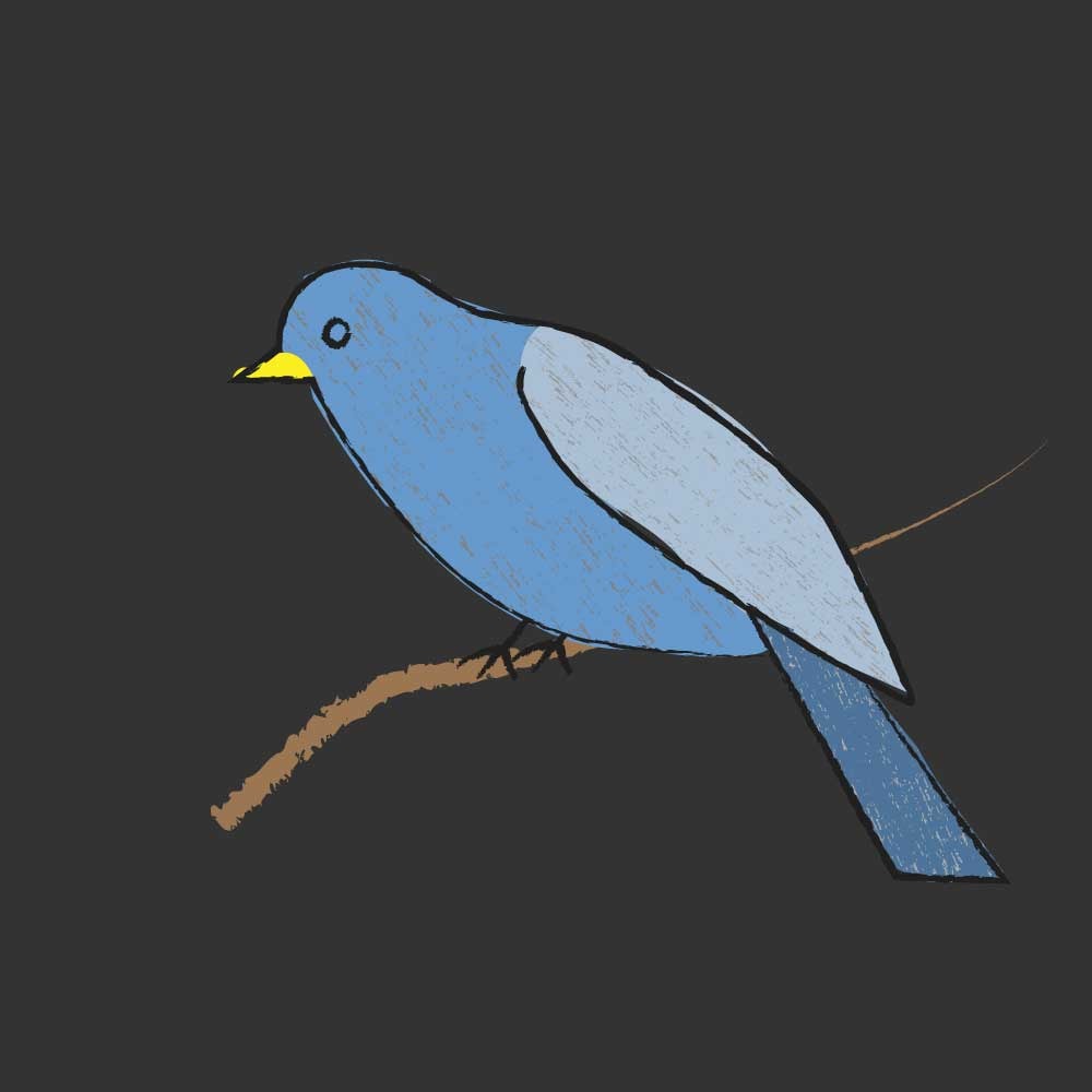 Textured Bird - image 1 - student project