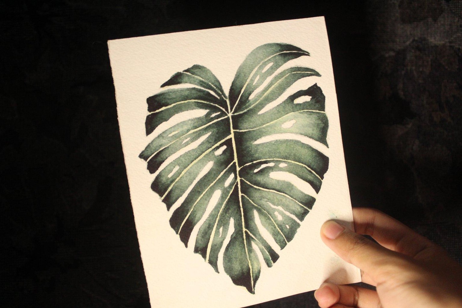 Monstera Deliciosa - image 1 - student project