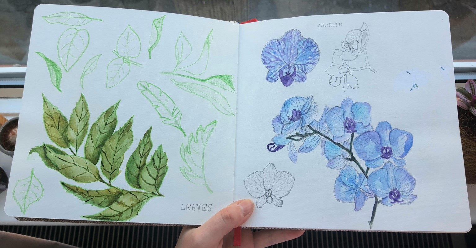 Sketching - image 13 - student project