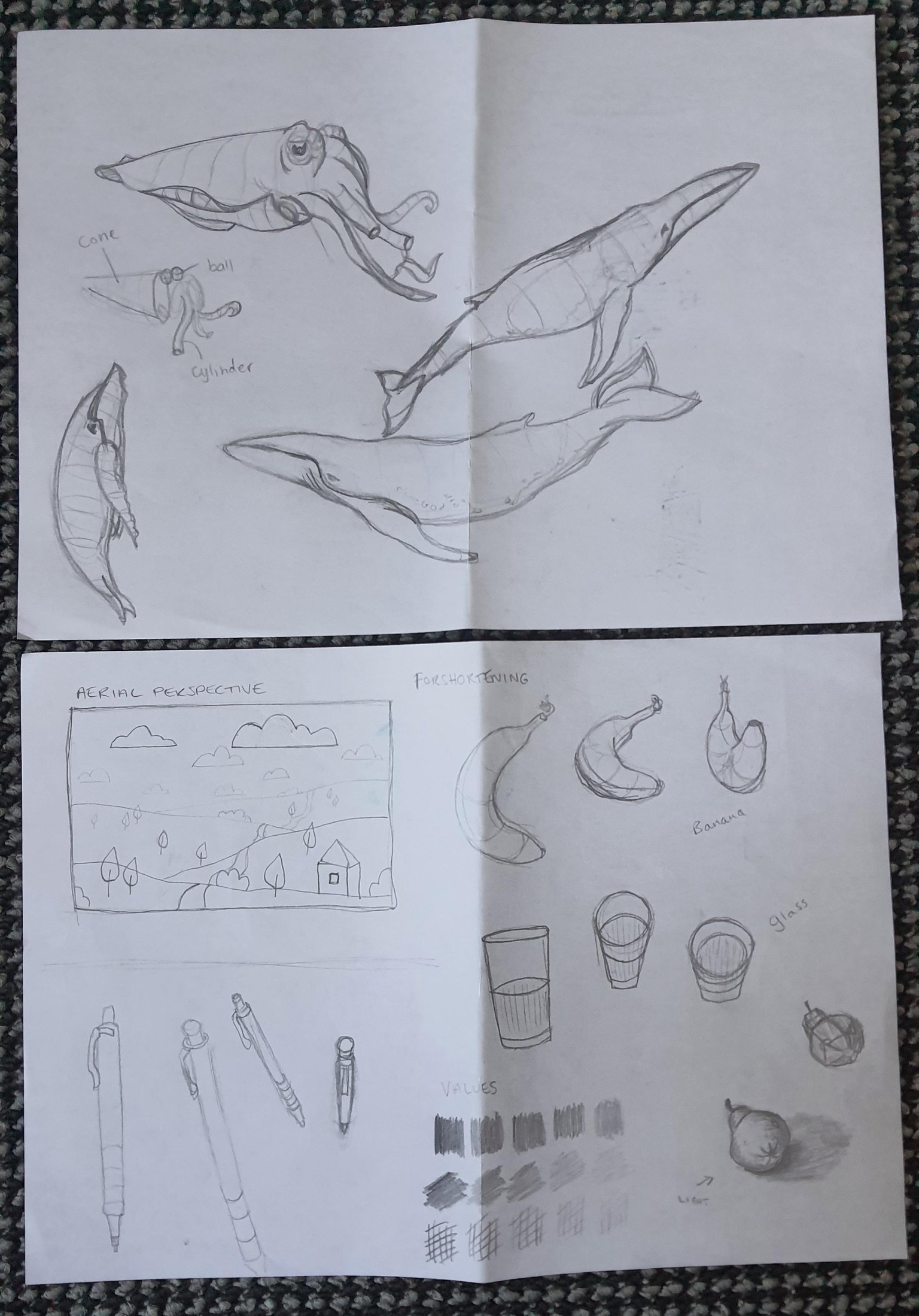 Sketching - image 15 - student project