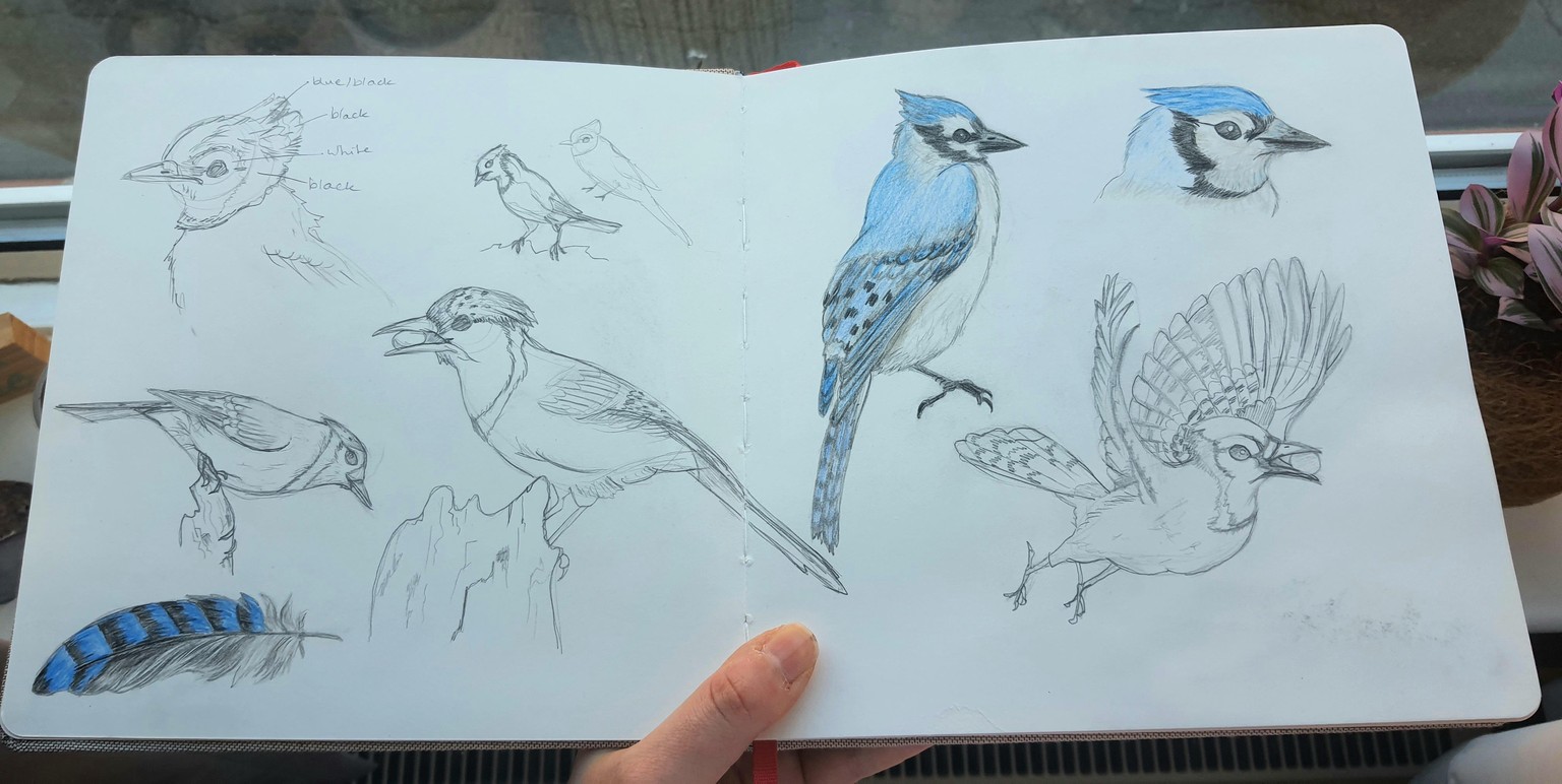 Sketching - image 12 - student project