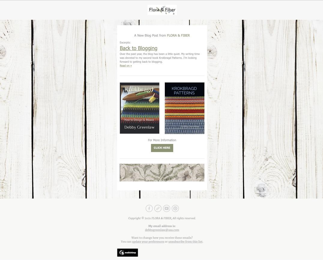 Email Campaign - image 1 - student project