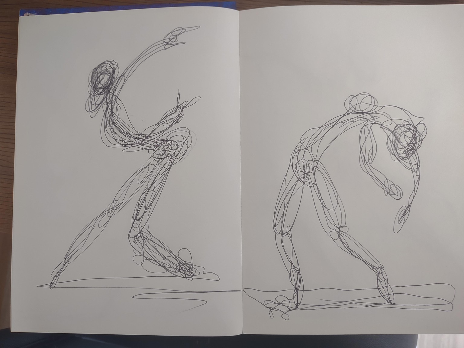 E. 1 Continuous line - image 1 - student project