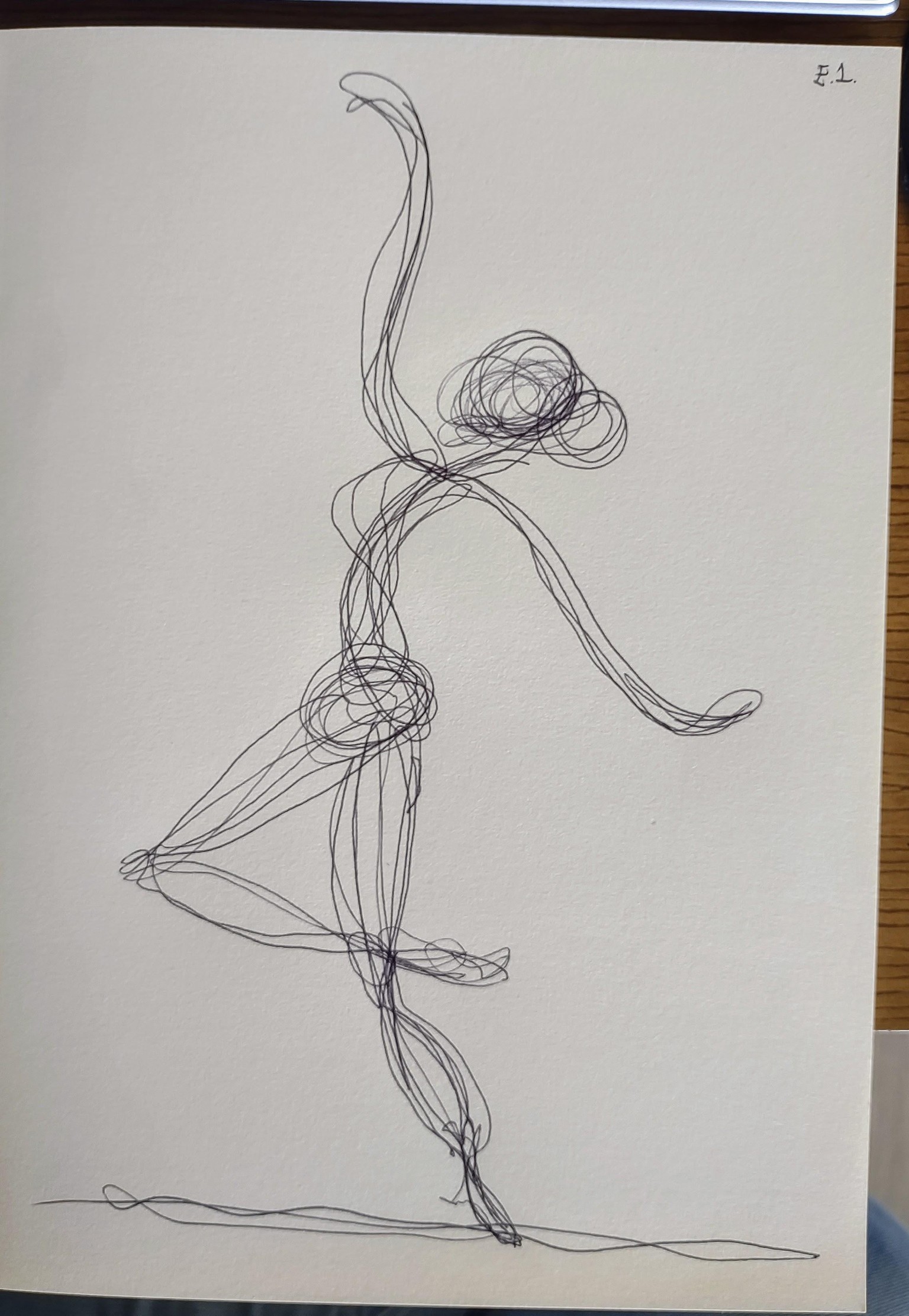 E. 1 Continuous line - image 4 - student project