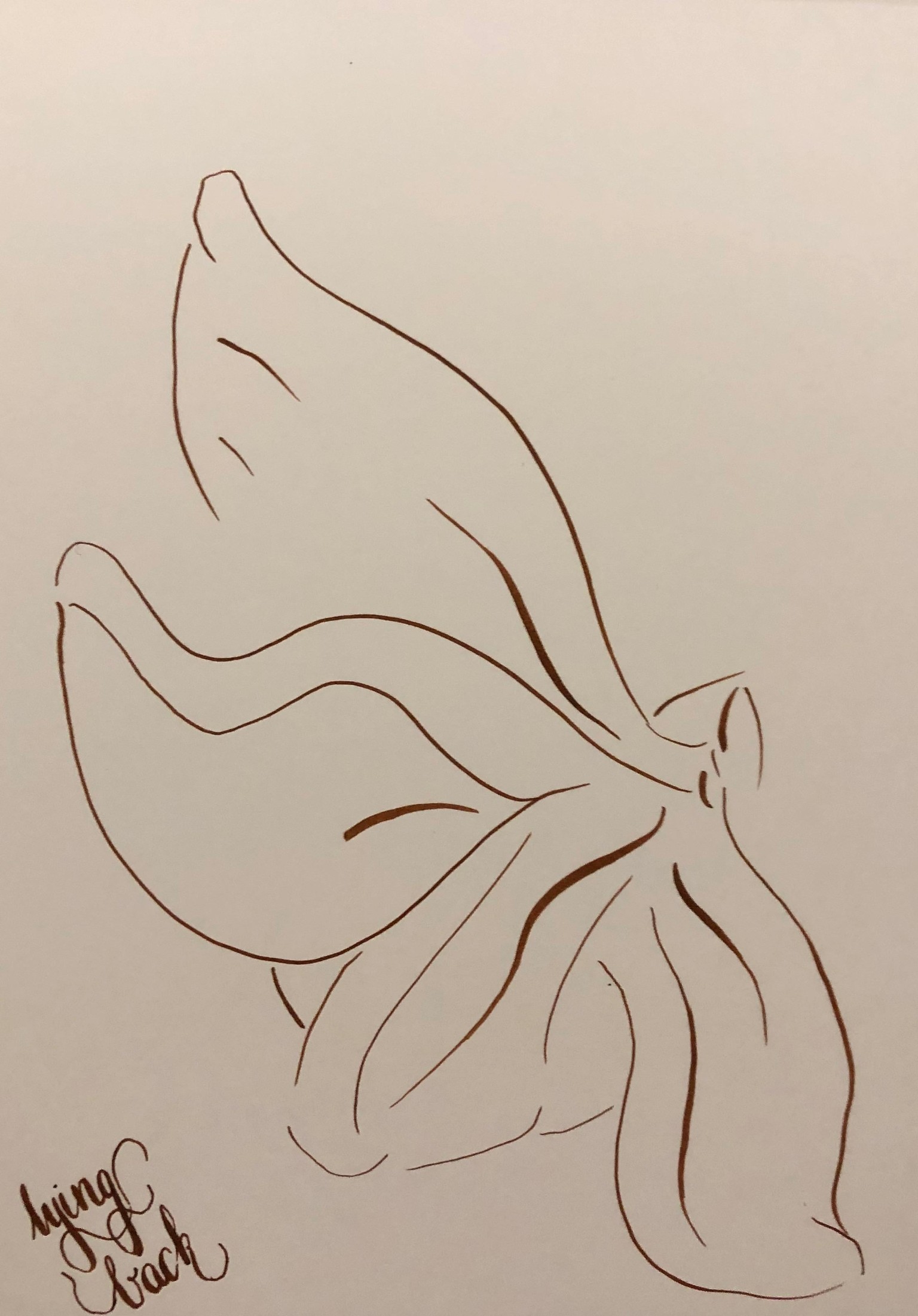 star anise - image 8 - student project