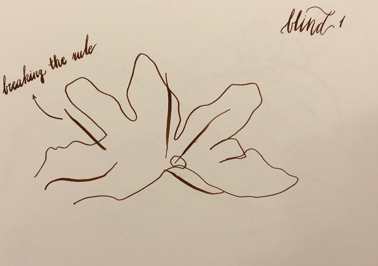 star anise - image 3 - student project